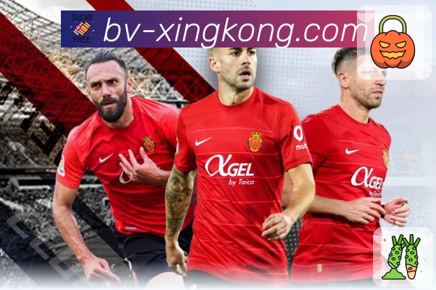 双重乐趣图2